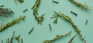 Olio essenziale di rosmarino. Cosa scegliere in farmacia